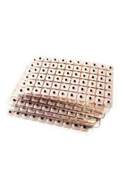 سید گیاهی ( دانه های گیاهی چسبی )