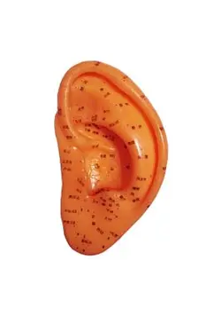 مولاژ گوش بزرگ