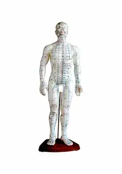 مولاژ طب سوزنی بدن