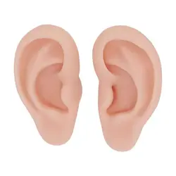 مولاژ گوش ( مدل و ماکت گوش )