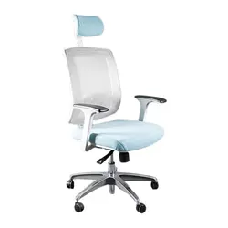 صندلی مدیریتی لیو مدل i72UG | فروشگاه اینترنتی چندسو