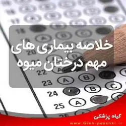 خلاصه بیماری های مهم درختان میوه دکتر اشکان - بیماری شناسی گیاهی - گیاه پزشکی