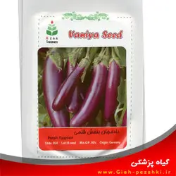 بذر بادمجان بنفش قلمی آلمانی