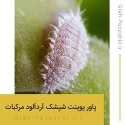 فایل پاورپوینت آماده شپشک آردآلود مرکبات Planococcus Citri - گیاه پزشکی