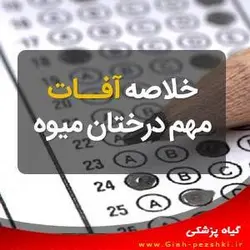 خلاصه درس آفات مهم درختان میوه - گیاه پزشکی - گیاه پزشکی