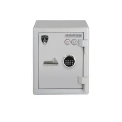 گاوصندوق گنجينه GS550