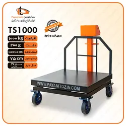 باسکول 1000 کیلوگرم پیام توزین مدل TS1000