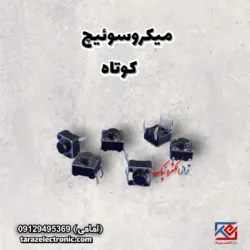میکروسوئیچ کوتاه