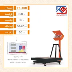 باسکول 300 کیلویی پیام توزین مدل TS 300