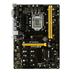 مادربرد بایوستار مدل TB250-BTC Pro