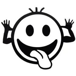 استیکر بدنه خودرو مدل BR46