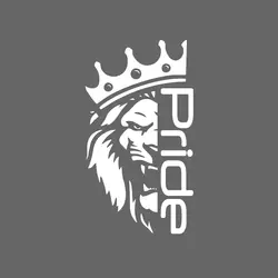 برچسب بدنه خودرو کد Sp002S