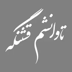 برچسب بدنه خودرو طرح تاوانشم قشنگه کد w442