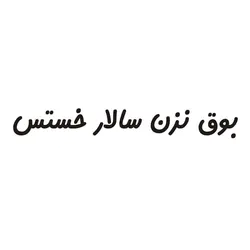 برچسب بدنه خودرو مدل فانتزی طرح بوق نزن سالار خستس کد 750