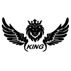 برچسب بدنه خودرو طرح بال مشکی