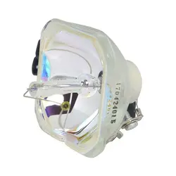 لامپ ویدئو پروژکتور Epson مدل TWD1 - قیمت لامپ دیتا پروژکتور