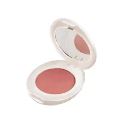 رژگونه شون شماره B02 - صد قلم