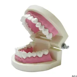 بازی آموزشی طرح مولاژ دندان مدل ASM40