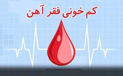 بررسی تاثیر مداخلات آموزشی با استفاده از کاربردی از مدل اعتقاد بهداشتی خانواده محور با توجه به نظریه ارتقاء رفتارهای پیشگیرانه کم خونی فقر آهن