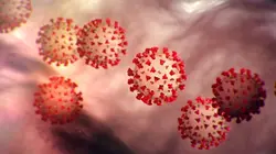 طراحی دیتا رجیستری بیماران مشکوک به کرونا در مراجعین به مراکز آموزشی درمانی
