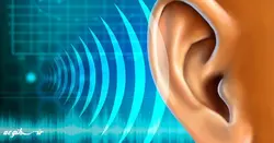 بررسی تاثیر مواجهه شغلی با صدا بر روی ظرفیت هوازی (VO2-max) در کارگران