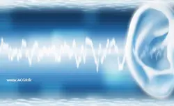 اندازه گیری و ارزیابی سر و صدا در کارخانه آرد