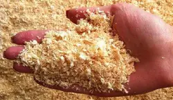 پایان نامه ارتباط گرد و غبار با اختلالات تنفسی در کارکنان نجاری و کابینت سازی