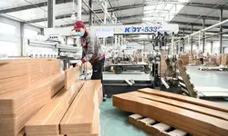 گزارش کارآموزی بهداشت حرفه ای در صنعت مبلمان و تختخواب