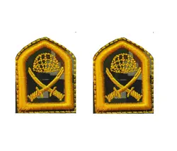 رسته پیاده پفکی(دیجیتال سبز)