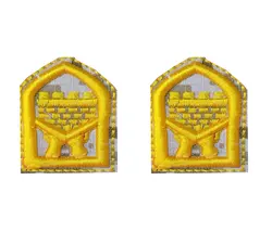 رسته حفاظت و حراست پفکی (دیجیتال خاکی)
