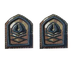 رسته عقیدتی سیاسی پفکی(دیجیتال خاکی)