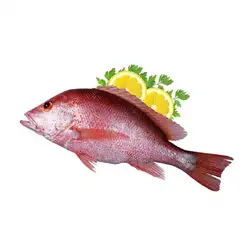 ماهی سرخو خونی - فروشگاه محصولات دریایی آدلی