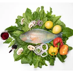 طوطی ماهی - فروشگاه محصولات دریایی آدلی
