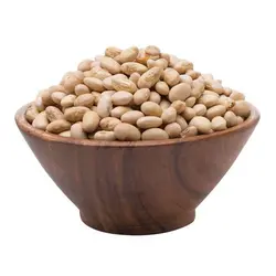 سویا آجیلی