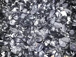 تخمه روغنی خال نمک