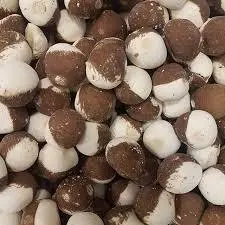 قره قروت