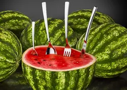 سرویس قاشق و چنگال ۱۲ پارچه غذا خوری ۶ نفره شیکاگو براق نیکولو 9004