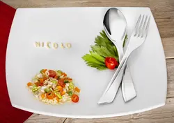 سرویس قاشق و چنگال ۱۲ پارچه غذا خوری ۶ نفره فیلادلفیا نیکولو 9342