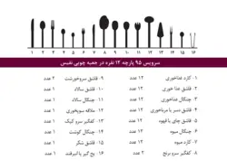 سرویس قاشق و چنگال ۹۵ پارچه غذا خوری ۱۲ نفره ویوالدی طلایی براق نیکولو 10421