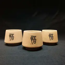 گلدان تک کاکتوس در 4 طرح