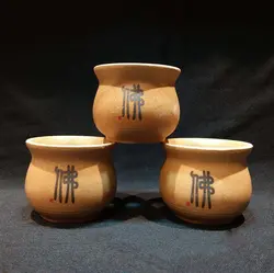 گلدان تک کاکتوس در 4 طرح