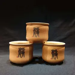 گلدان تک کاکتوس در 4 طرح