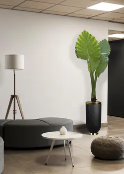 بابا آدم جاینت + گلدان فایبر گلاس استوانه ای (*)