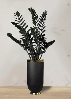 زاموفیلیا سوپر بلک + گلدان فایبر گلاس استوانه ای (*)