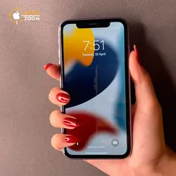 آیفون استوک و دست دوم 11 در رنگهای جذاب در اپل زوم 😍