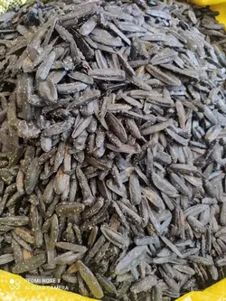 تخمه آفتابگردان(۱کیلویی)