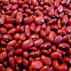 لوبیا قرمز ریزکیلویی