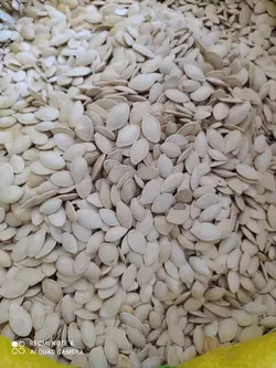 تخمه کدو(۱کیلویی)