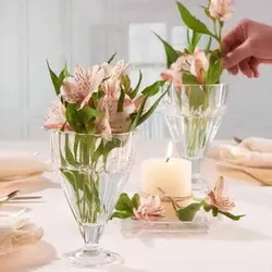 جام کریستال جفتی پاشاباغچه مدل پلیتس کد 68136