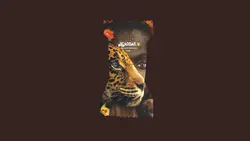 گز مینی  اسپرسو 28% مغز پسته و عسل